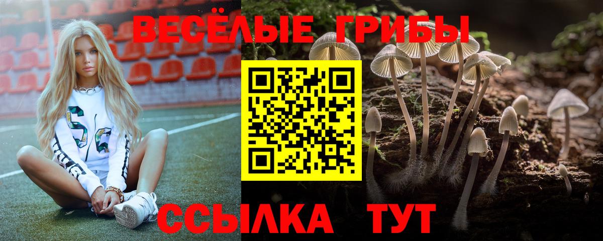Галлюциногенные грибы мицелий  Вход с VPN  Пушкино 